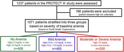 Implications of anemia in patients undergoing PCI with Impella-support: insights from the PROTECT III study
